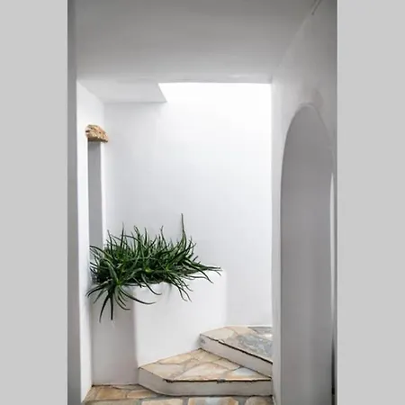 The Saltwater - Mykonos Jmk ヴィラ Mykonos Town